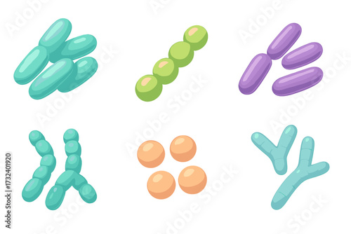 3D probiotic bacteria set. Lactobacillus, bifidobacterium, gut flora. Microbiome science icon collection. Microorganism for digestion health. Prebiotic medical vector illustration.