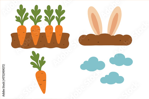 Carrot set with root vegetables growing in the ground. Funny rabbit ears hiding in a garden bed. Easter bunny concept. Healthy food vector flat cartoon illustration collection.