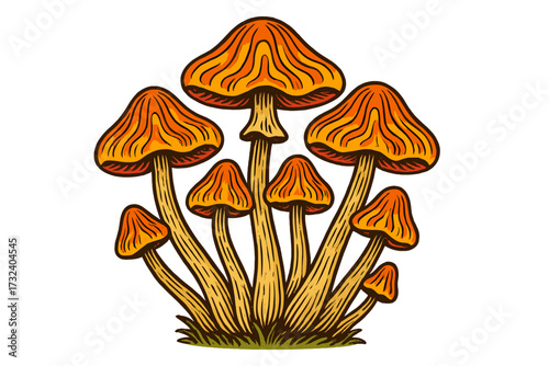 Hallucinogenic magic mushrooms in a retro 70s groovy style. Hand drawn psilocybin fungi bunch vector. Psychedelic trippy design element in a colorful engraving style.
