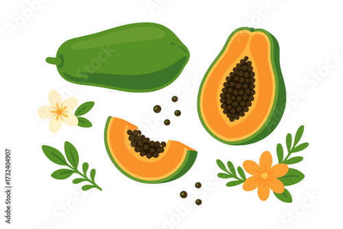 Vector set of green papaya fruit. Tropical pawpaw collection with whole, half, and sliced pieces, seeds, flowers, and leaves. Healthy vegetarian food cartoon illustration.