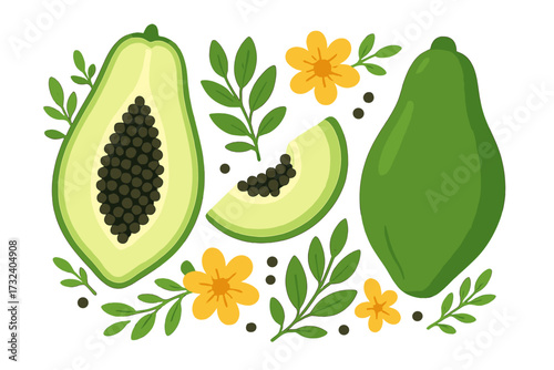 Green papaya vector set. Sliced, half, whole fruit. Tropical pawpaw illustration. Healthy vegetarian food concept. Exotic raw diet. Fresh organic plant with seeds, leaves, flowers.