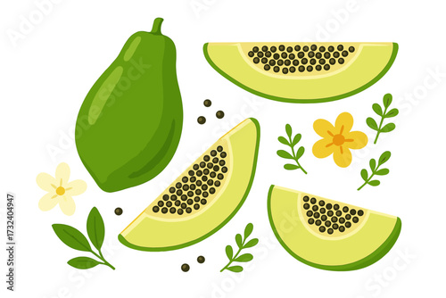 Green papaya vector set. Sliced tropical pawpaw fruit collection in flat cartoon style. Exotic vegetarian food illustration with seeds, flowers and floral elements.