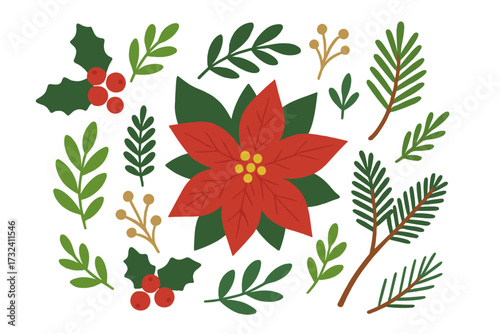 Christmas floral elements set. Poinsettia, holly berry, mistletoe and spruce branch. Winter holiday decoration. Traditional symbols. Vector flat illustration isolated collection.