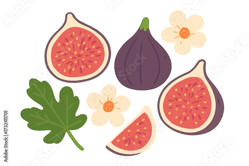 Fig fruit set with flowers and leaf. Whole, half and sliced figs. Vector flat hand-drawn cartoon illustration isolated on white background. Botanical design element.