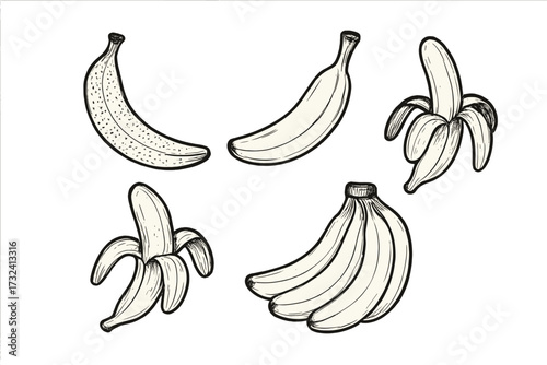 Vector banana set in hand drawn sketch style. Includes bunch, single, peeled and overripe bananas. Isolated tropical fruit icons for healthy food concepts. Doodle art graphic.