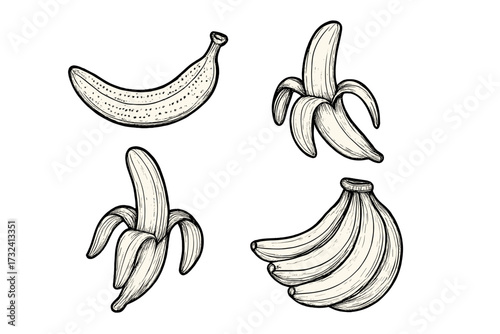 Vector set of hand-drawn bananas. Line art sketch icons of single, bunch, peeled & overripe fruit. Healthy food concept. Retro cartoon drawing for organic diet design.