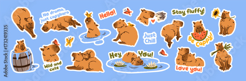 Baby capibara stickers set. Cute capybaras are swimming in pond, bathing in barrel. Funny rodents relax in water, sleep and lying. Happy animals chill, have a rest. Flat isolated vector illustrations.