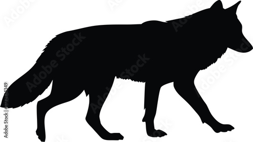 Side profile of a walking wolf silhouette