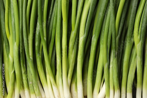 Fresh green spring onions as background, top view