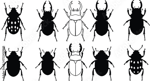 Cartoon beetle illustration set, insect vector silhouettes, entomology clipart, bug collection, nature design, educational insect art, detailed beetle drawings