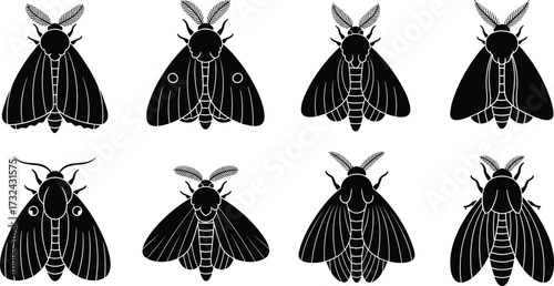 Cartoon moth illustration set, insect vector silhouettes, butterfly relative clipart, entomology design, bug collection, nature artwork, detailed moth drawings