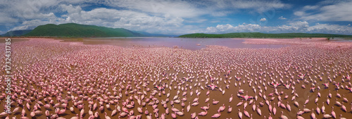 Aerial view of a sea of pink flamingos wading in the shallow waters of Lake Nakuru against a backdrop of green hills and a blue sky, Nakuru, Nakuru County, Kenya.