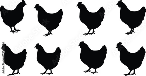 Chicken silhouettes collection, farm bird shapes, poultry illustration, black chicken profiles, hen and rooster poses, rural agriculture design, animal anatomy reference