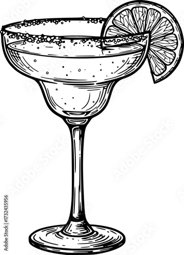 Black and white sketch of a margarita glass with lime slice, artistic illustration. Vector illustration

