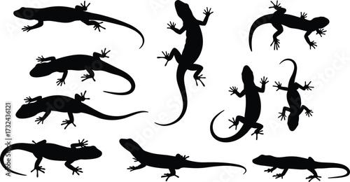 Lizard silhouettes vector set, black reptile animal icons, crawling gecko illustration collection, wildlife clipart design, exotic graphic artwork elements