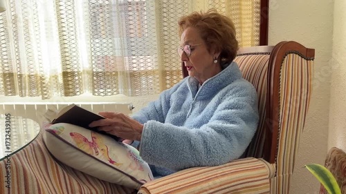 Elderly woman sitting on armchair reading book calmly at home in natural light