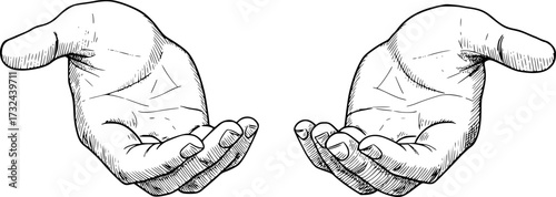 Realistic sketch of two open hands with detailed linework, concept of giving. Vector illustration
