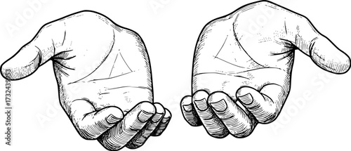 Realistic sketch of two open hands with detailed linework, concept of giving. Vector illustration
