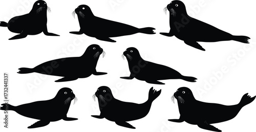 Seal silhouette illustration set, marine animal vector, sea lion clipart, ocean wildlife design, aquatic mammal artwork, black seal drawings