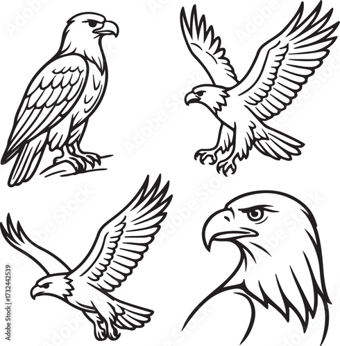 Line art eagles