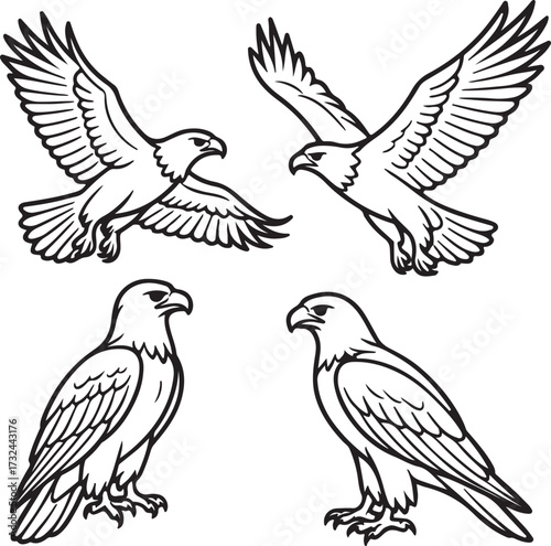 Line art eagles