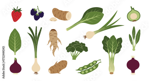 Collection of Fresh Vegetables and Fruits Isolated on White Background.