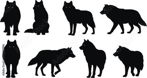 Wolf silhouettes, wild animals, predator illustration, wildlife vector, group wolves, forest design, animal posture, stock art, nature concept, hunting behavior pattern