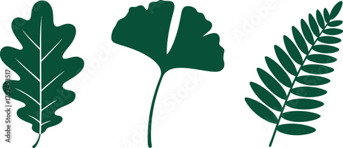 Three distinct green leaves are displayed against a white background.