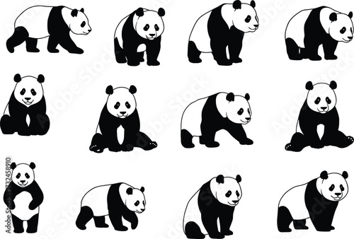 Cute panda bear vector illustration set showing different poses, walking, sitting, standing, cartoon style black and white animal design.