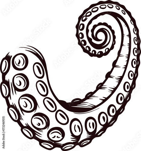 Vintage hand drawn curled octopus tentacle with suction cups isolated on white background illustration