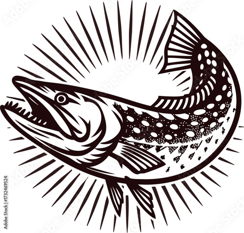 Engraved leaping freshwater pike fish with open mouth isolated in circular burst vintage sketch
