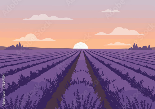 Lavender fields at sunrise nature landscape serene environment vibrant colors peaceful view