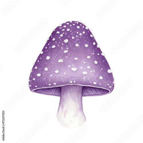 Watercolor purple mushroom with white spots, fantasy forest fungi illustration isolated on white background