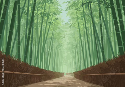 Exploring tranquil bamboo forest path nature landscape calm environment serene viewpoint peaceful concept