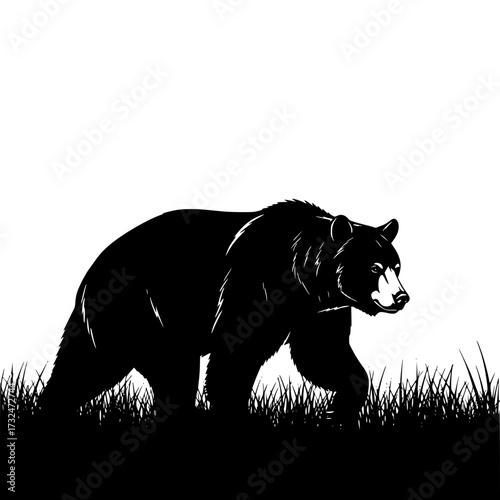 Vector art of majestic black bear silhouette walking in grass field