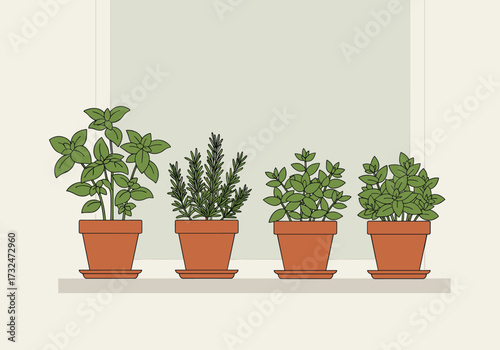 Growing fresh herbs in terracotta pots on a window sill indoor gardening modern home environment view