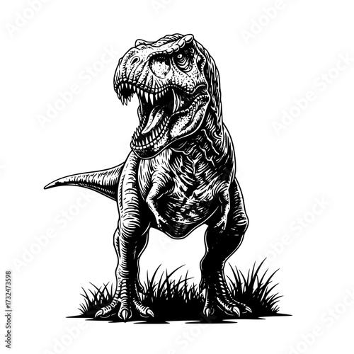 Vector art of fierce tyrannosaurus rex illustration in black and white with open mouth roaring