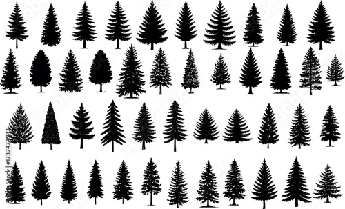 Collection of Silhouette Evergreen Trees Pine Trees Fir Trees Cedar Trees Seamless Pattern Isolated