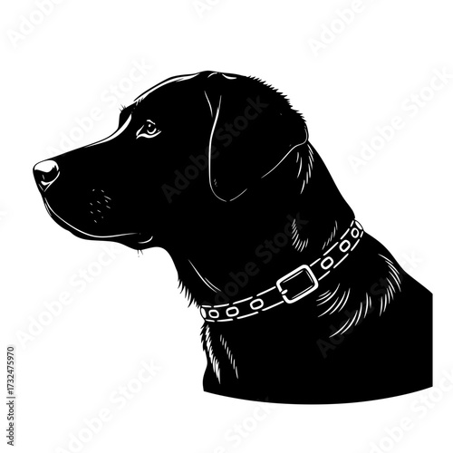 Vector art of black labrador head silhouette profile with chain collar