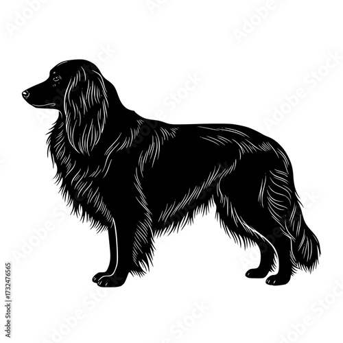 Vector art of black silhouette of a longhaired dog standing sideways