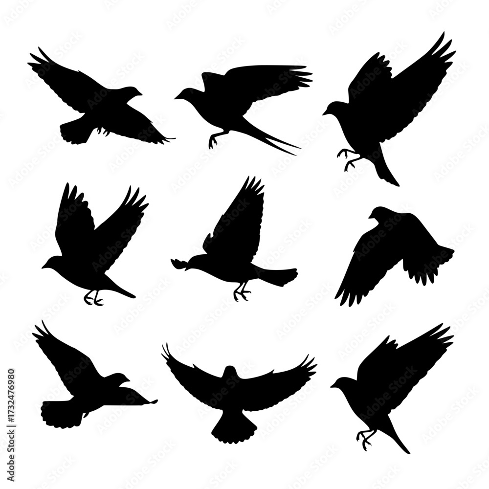 Fototapeta premium Vector art of nine black bird silhouettes in various flight poses