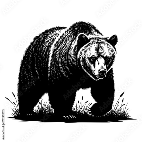 Vector art of black and white illustration of a bear standing