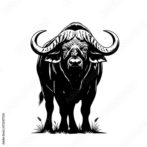 Vector art of majestic black buffalo head illustration with intricate horns and textured fur