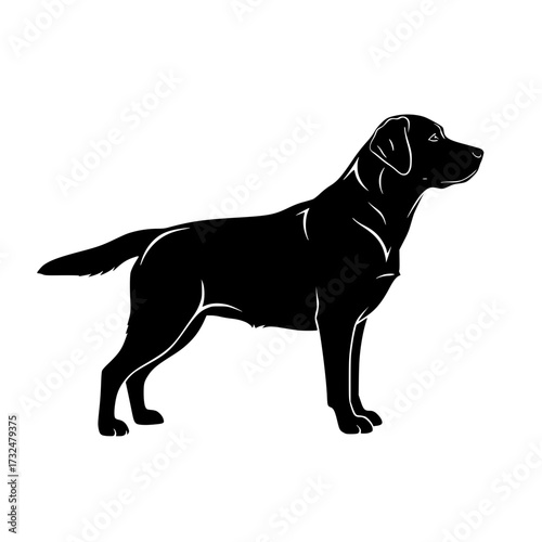 Vector art of black labrador retriever silhouette standing sideways with tail and ears up