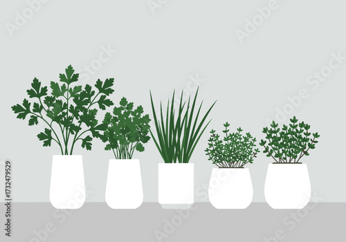 Growing fresh herbs indoors indoor plant care tips home visual guide minimalist setting green living