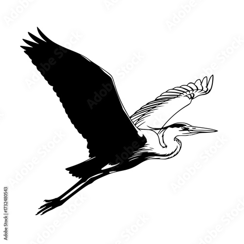 Vector art of black silhouette of a bird in flight with outstretched wings