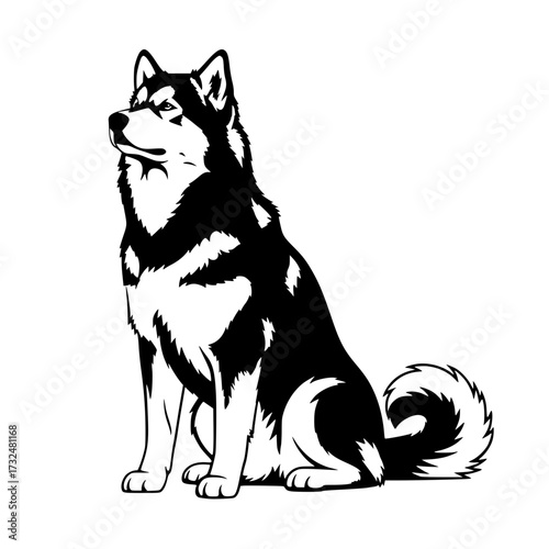 Vector art of black and white illustration of a majestic husky dog sitting