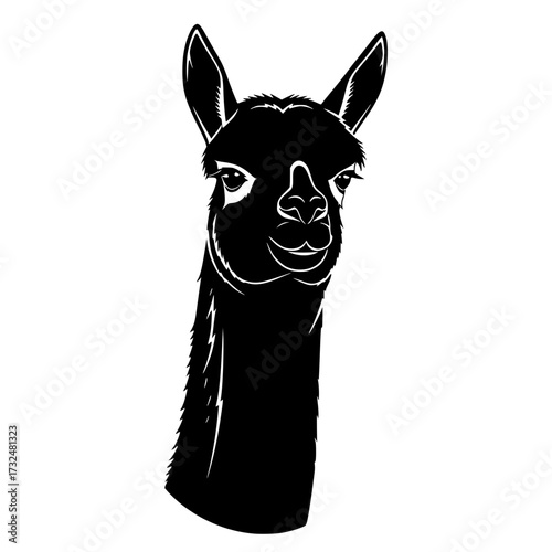 Vector art of black silhouette of llama head facing forward with detailed ears and snout
