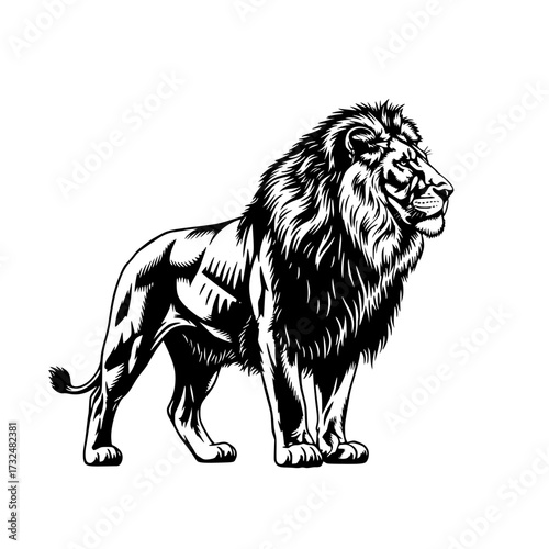 Vector art of majestic lion illustration standing sideways