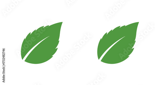 Symmetrical foliage design showcasing a natural green palette on a dark background